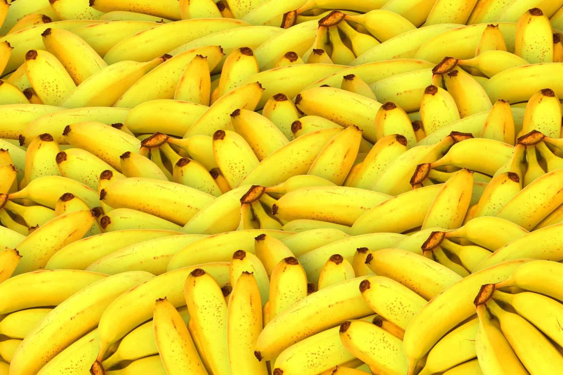 12 Reasons to Add Bananas to Your Daily Diet