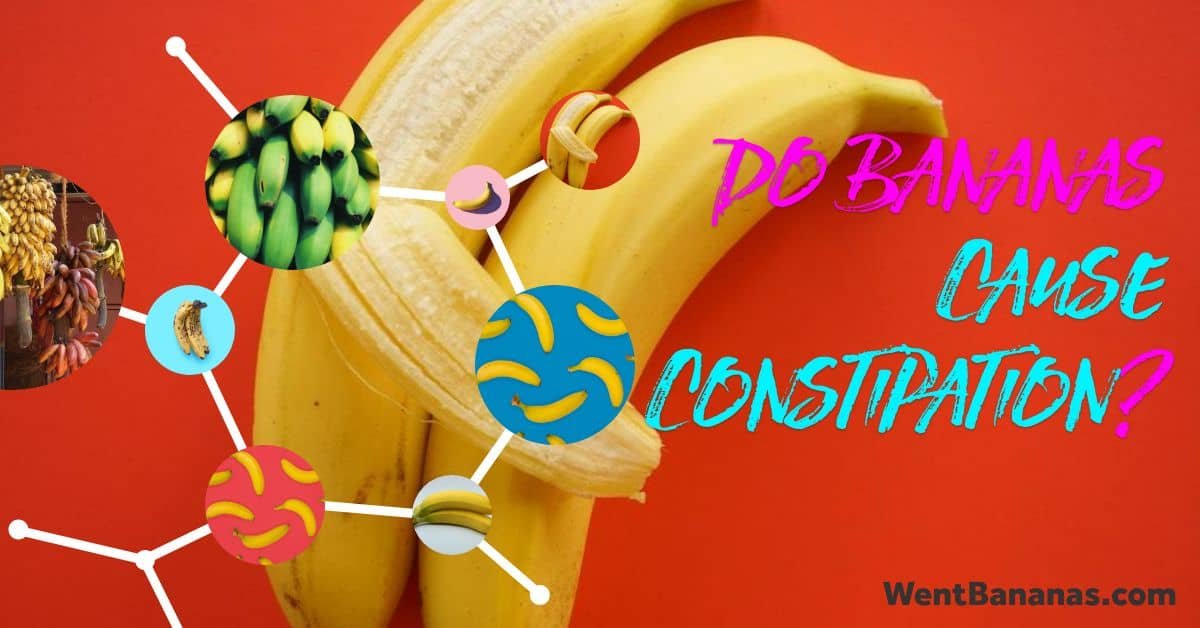 Do Bananas Cause Constipation?