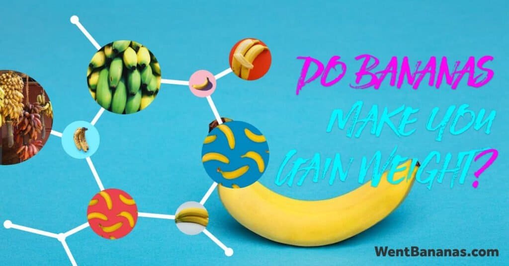 Do Bananas Make You Gain Weight?