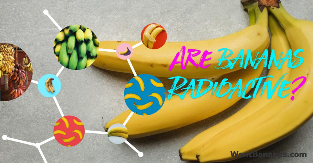 are bananas radioactive