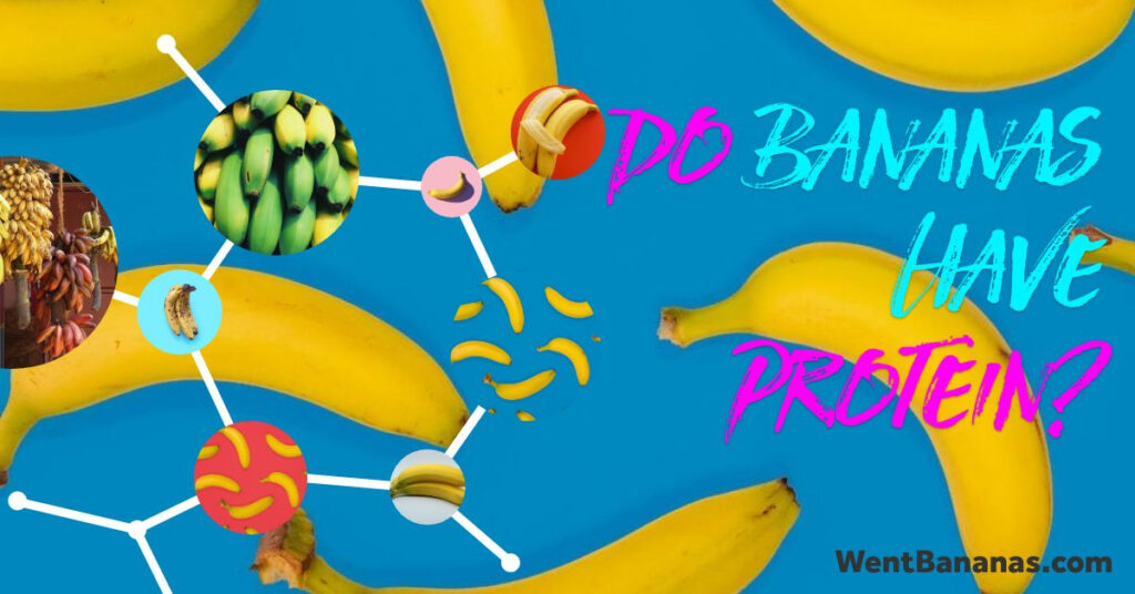 do bananas have protein