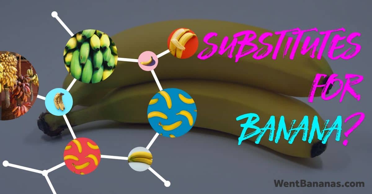 Substitutes for Banana in Your Favorite Recipes