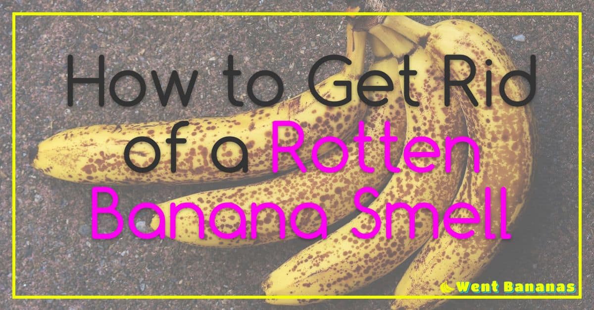 How to Get Rid of a Rotten Banana Smell