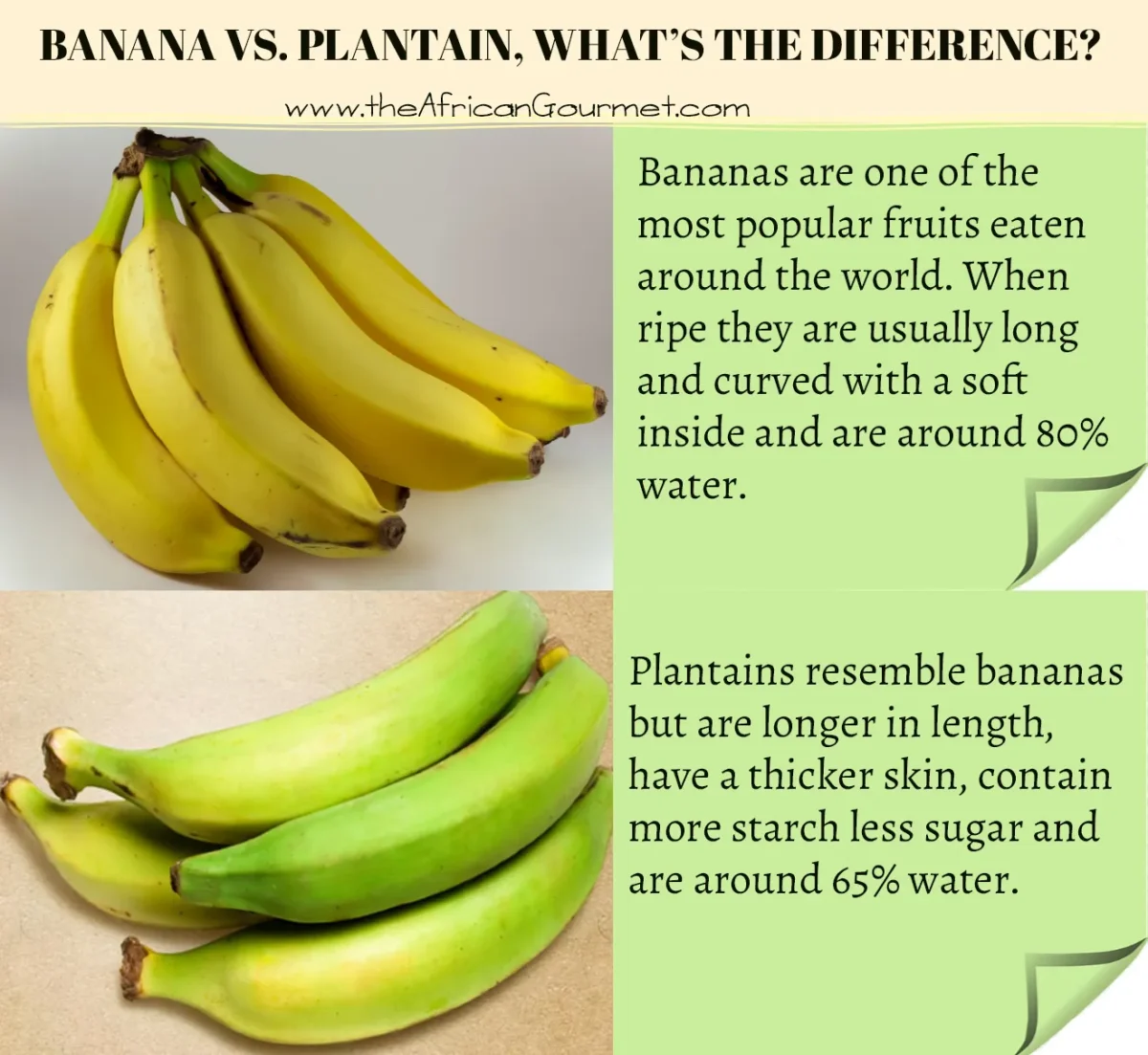 banana vs platano