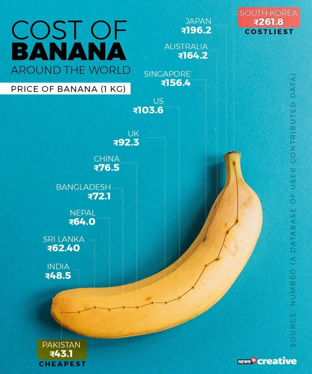 how much does 1 banana cost