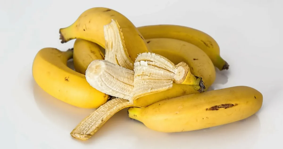 why is banana not a fruit