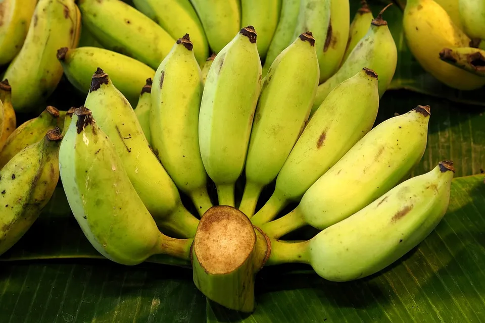 Extend the Shelf Life of Bananas: Tips on Storing, Freezing, and Using in Recipes